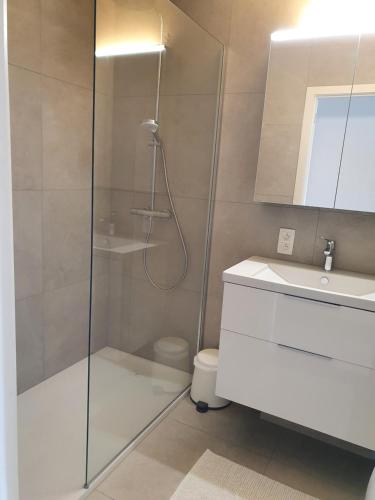 La salle de bains est pourvue d'une douche, de toilettes et d'un lavabo. dans l'établissement Appartement Zeezicht, à Ostende
