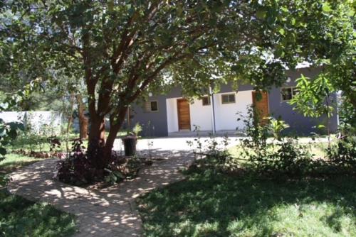 a tree in a yard next to a house at !! The ranch - Superb serviced apartment with garden in Lusaka