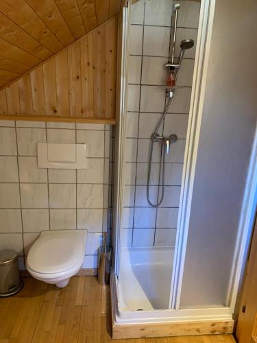 mała łazienka z toaletą i prysznicem w obiekcie Kleine Ahornau w Schladming
