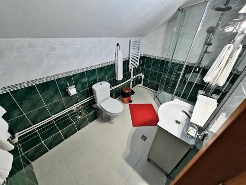 a green and white bathroom with a toilet and a sink at Casa Coral Sulina in Sulina