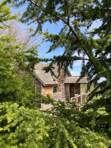 une vieille maison vue à travers les arbres dans l'établissement Domaine de Campras B&B, à Saissac