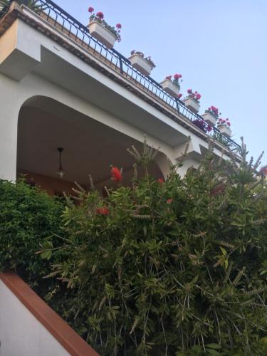 a building with a bunch of plants on the side of it at Villa Stefania in Marina di Camerota