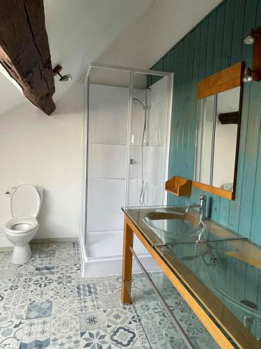 une salle de bain avec un lavabo en verre et des toilettes dans l'établissement Les sureaux du cher, à Noyers-sur-Cher