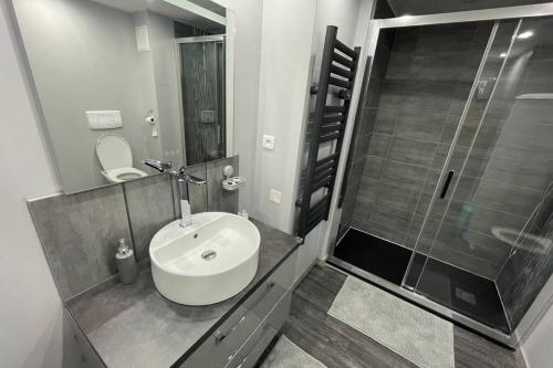 une salle de bain avec un lavabo et une douche dans l'établissement Appartement cosy, wifi gratuit,5 min de la gare, à Boulogne-sur-Mer