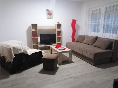 sala de estar con sofá y TV en Smestaj Milisavljevic, en Soko Banja