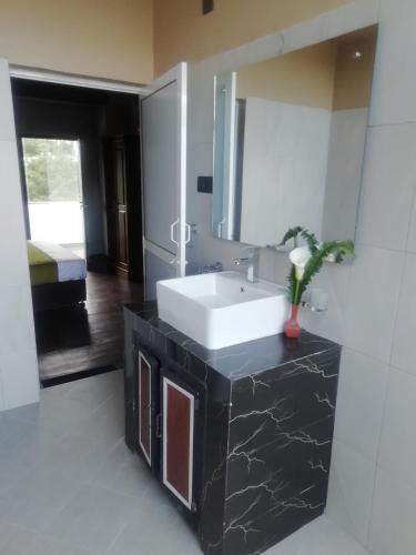 a bathroom with a sink and a mirror at Tea Mount Forest in Nuwara Eliya