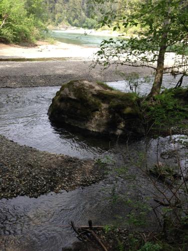 a rock in the middle of a river at Redwood Inn in Crescent City