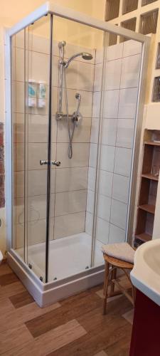 a shower with a glass door in a bathroom at Il Vico in Serra San Bruno