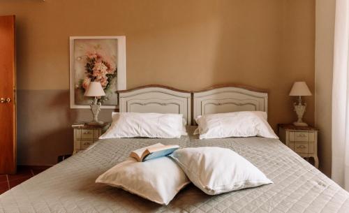 Un pat sau paturi într-o cameră la Casa Barbabuc