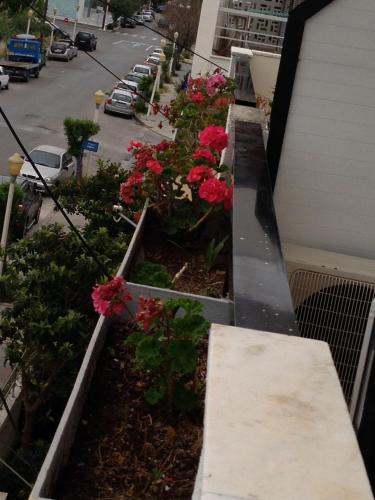 a flower garden on the side of a building at Zefyros Hotel in Rhodes Town