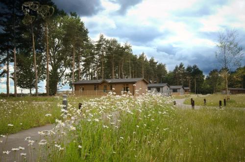 a field of flowers with a house in the background at Hollicarrs - Newlands in York