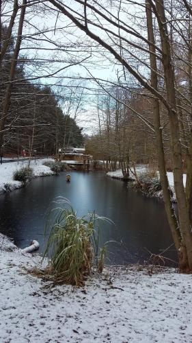 a river with snow on the branches of trees at Hollicarrs - Newlands in York