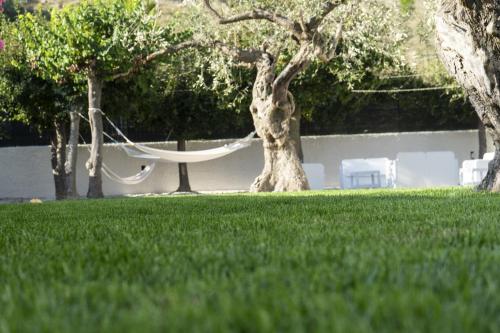 a hammock in a grassy yard with a tree at Green Land Boutique Hotel in Castilenti