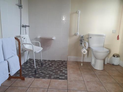 BunmahonにあるCopper Coast B&Bのバスルーム(トイレ、洗面台付)