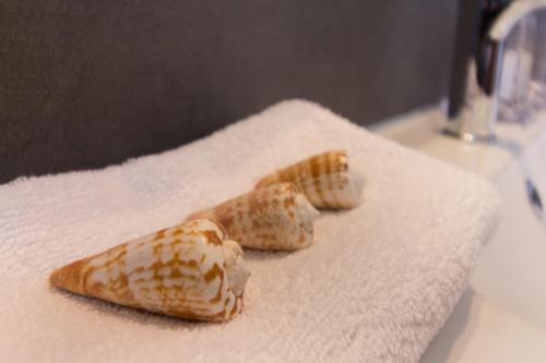 two seashells sitting on top of a paper towel at °° VILLA ANNA°° in Villasimius