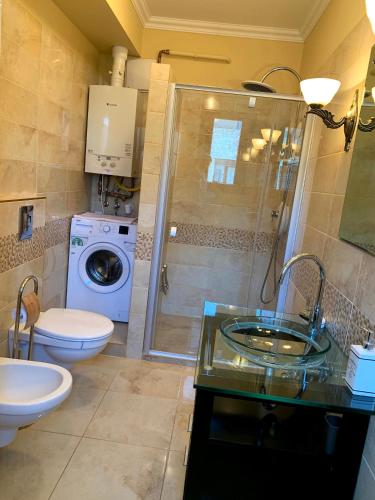 a bathroom with a shower and a toilet and a sink at Lakeside Luxury Apartment in Zamárdi