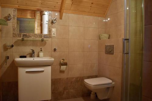 a bathroom with a toilet and a sink and a shower at Domek letniskowy in Sasino
