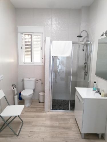 a bathroom with a shower and a toilet and a sink at Joju in Sanlúcar la Mayor