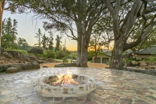 a fire pit in a yard with two trees at Waterfall Farm Self-Catering Cottages Citrusdal in Citrusdal
