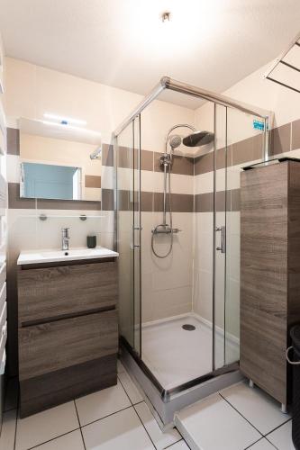 une salle de bain avec douche et lavabo dans l'établissement Appartement tout confort - Pau Nord, à Pau
