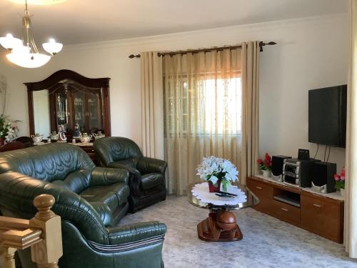a living room with a leather couch and a television at Casa De Ferias Santos in Aguiar da Beira