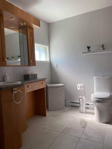 a bathroom with a toilet and a sink and a mirror at Maison Carofanne in Saint-Siméon