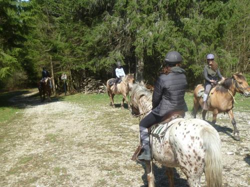 Άλλα ζώα σε αυτό το πανδοχείο ή στη γύρω περιοχή
