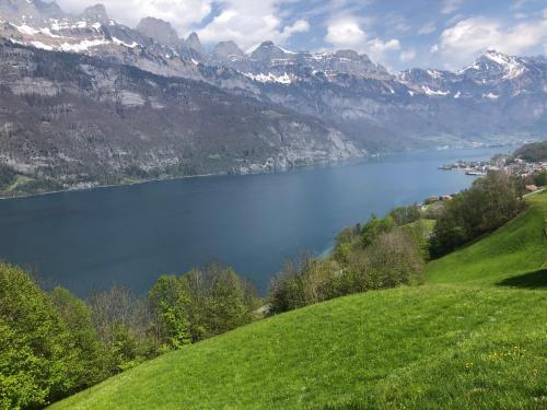a view of a lake with mountains in the background at Luxuriöses Galerie-Penthouse direkt am Walensee in Unterterzen