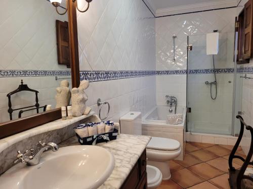 uma casa de banho com um lavatório, um WC e um espelho. em Casa de Ladrido em Felgueiras