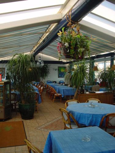 a dining room with blue tables and potted plants at Hôtel du Port in Villeneuve