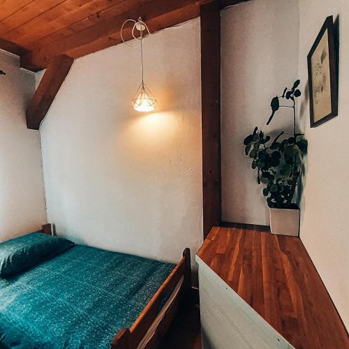 ein Schlafzimmer mit einem Bett und einer Topfpflanze in der Unterkunft Apartamenty - Mazurski Zaścianek - Kruklanki in Kruklanki
