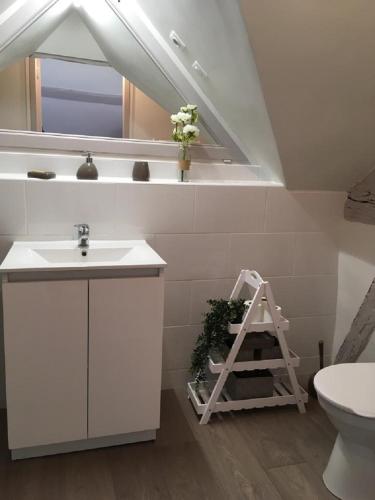 une salle de bain avec un lavabo et un miroir et des toilettes dans l'établissement Manoir de l'Aumônerie, à Saint-Martin-de-Boscherville