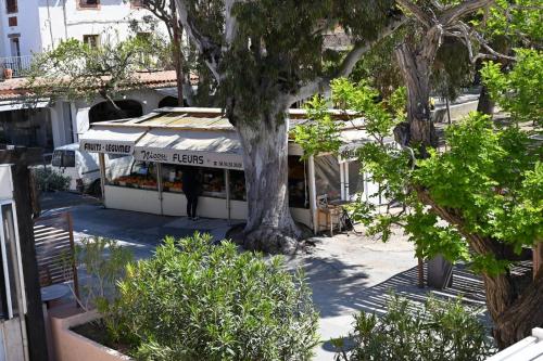 a tree stands in front of a building with a tree at L'Arche de Porquerolles in Porquerolles