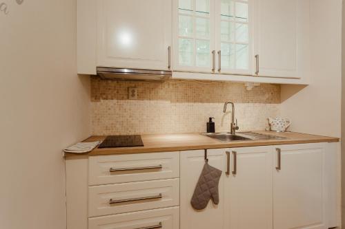 Кухня или мини-кухня в Boutique apartments

