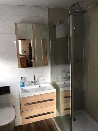 a bathroom with a sink and a shower and a toilet at Beck House Cottages in Pickering