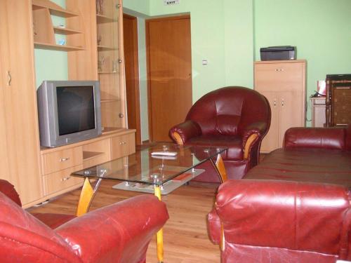 TV a/nebo společenská místnost v ubytování Sveti Georgi Family Hotel