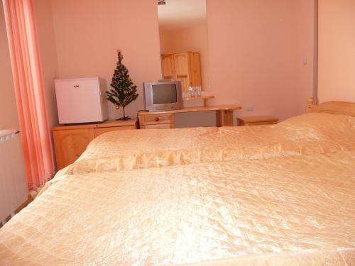 Kuchyň nebo kuchyňský kout v ubytování Sveti Georgi Family Hotel