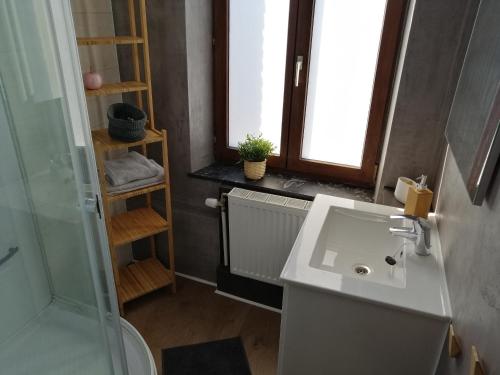 a bathroom with a sink and a shower at Studio 2 pers. tourisme et business in Namur