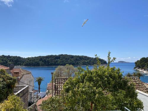 Naturlandskabet i nærheden af feriehuset
