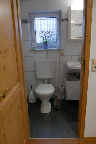 uma casa de banho com um WC, um lavatório e uma janela em FerienZimmer em Niederstetten