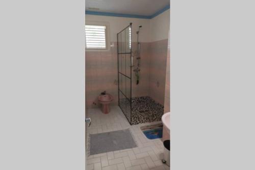 a bathroom with a shower stall and a toilet at Loue maison en Martinique in Le Vauclin