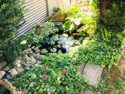 a garden with a pond and some plants and flowers at FerienZimmer in Niederstetten
