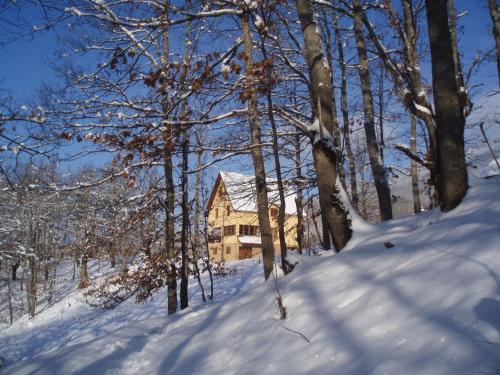 Obiekt Guest House Tara Canyon zimą