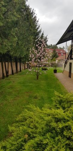 En have udenfor Mimi Apartment