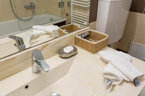 a bathroom with a sink and a mirror and a toilet at Pension Carmen`s Mansion A in Sinaia