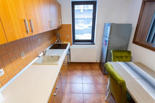 a kitchen with a sink and a refrigerator at Pension Carmen`s Mansion A in Sinaia