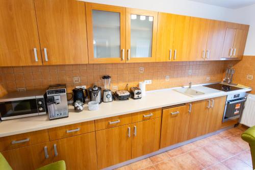 a kitchen with wooden cabinets and a counter top at Pension Carmen`s Mansion A in Sinaia