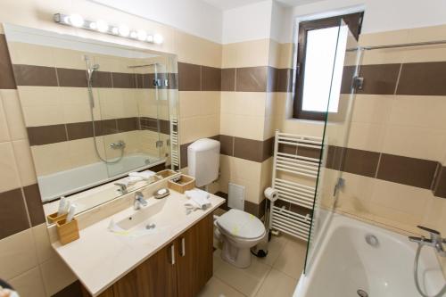 a bathroom with a sink and a toilet and a shower at Pension Carmen`s Mansion A in Sinaia