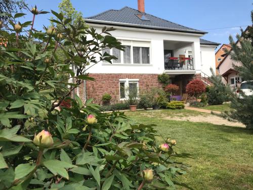 a house with a bush in front of it at Levendula Apartmanház in Badacsonytomaj