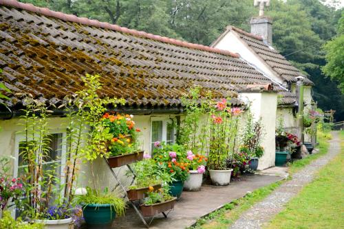 an old house with lots of potted plants on it at Ladywood House Bed and Breakfast in Ironbridge